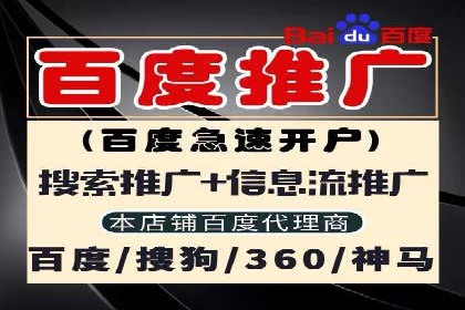 信息流广告投放公司：成功案例解析